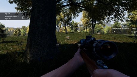 Hunting Simulator (2017)