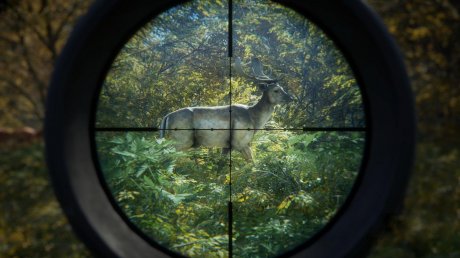 TheHunter: Call of the Wild (2017)