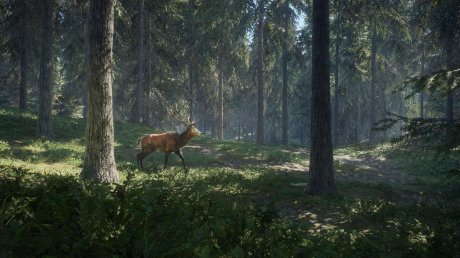 TheHunter: Call of the Wild (2017)