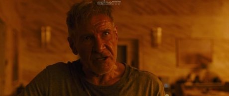    2049 (2017)