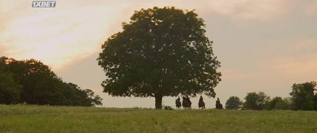  (2022)