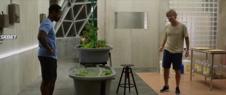  (2022)
