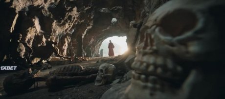   (2022)