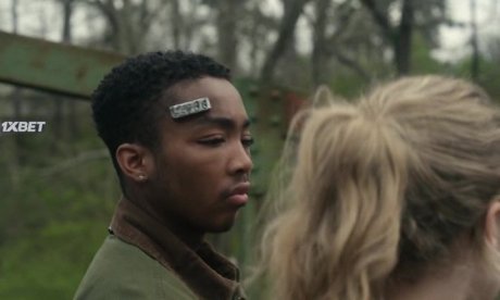     (2023)