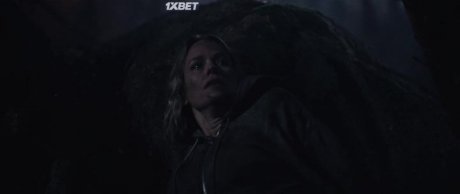  (2023)