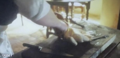   (2023)