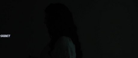  (2023)