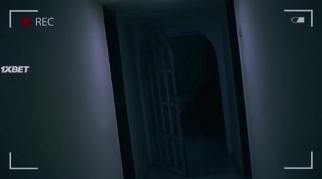   (2023)