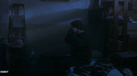   (2025)
