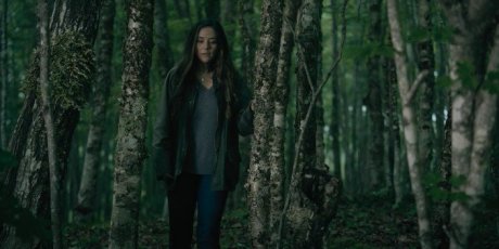 ����� (4 �����)